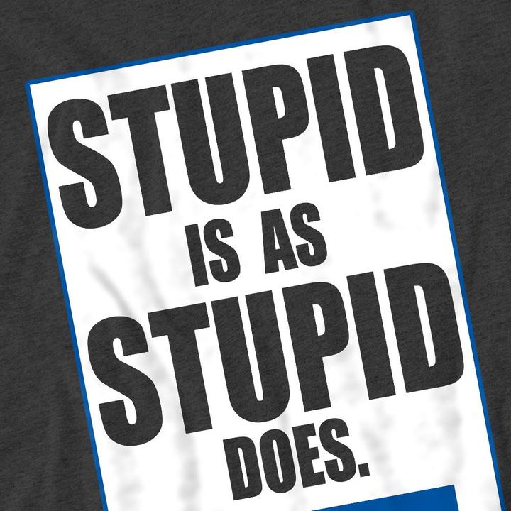 Actual product image Forrest Gump Unisex Adult Stupid Is T-Shirt (XXL)