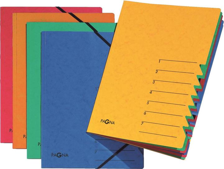 Actual product image Pagna Folder Easy (A4, 1 x)