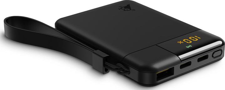 Immagine prodotto Aqiila Powerbird B5B - Powerbank 5000 mAh, 12W - Nero (5000 mAh, 12 W, 37 Wh)