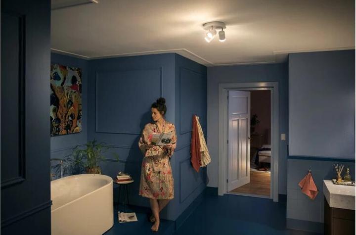 Actual product image Philips Hue Adore Basis BT (1050 lm, GU10)