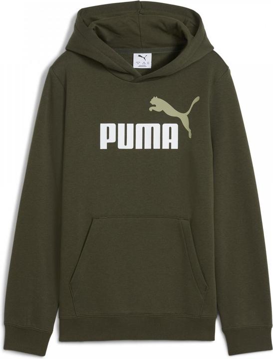 Actual product image Puma ESS 2 COLOR No. 1 Logo Hoodie FL B (140)