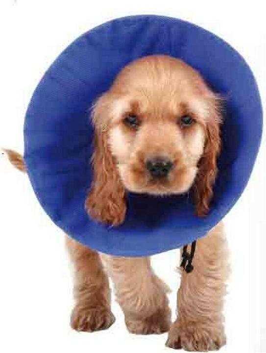 KVP Dog neck brace EZ Soft Blue (14-31 cm) (Dog)
