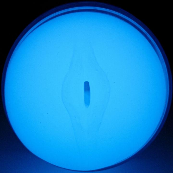 Actual product image Kiiroo Feel Glow
