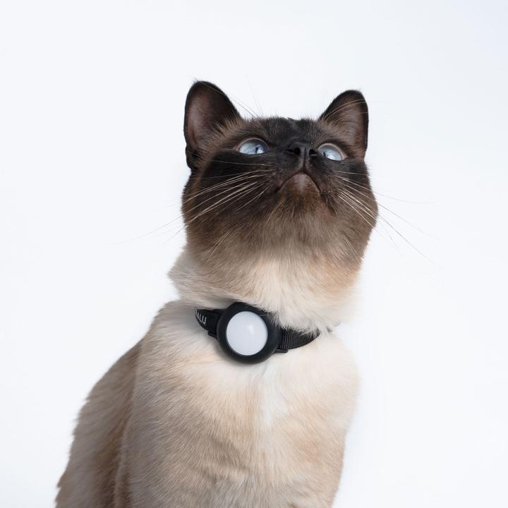 Immagine prodotto LucyBalu DORI AirTag Katzenhalsband (Nylon) (Taglia unica, Gatto, Generale)