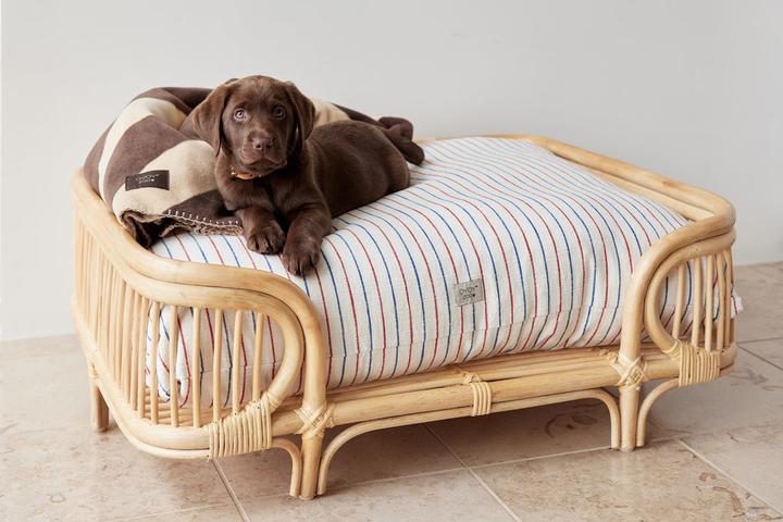 Image du produit Oyoy ZOO - Kyoto Dog Cushion Large - Mellow (Z60060) (Chien)