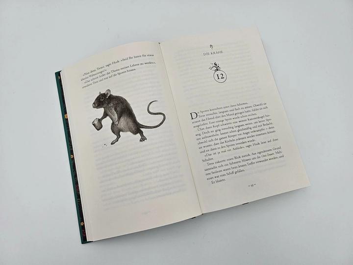 Actual product image Weit über der smaragdgrünen See (German, Howard Lyon, Simon Weinert, Brandon Sanderson, 2023)