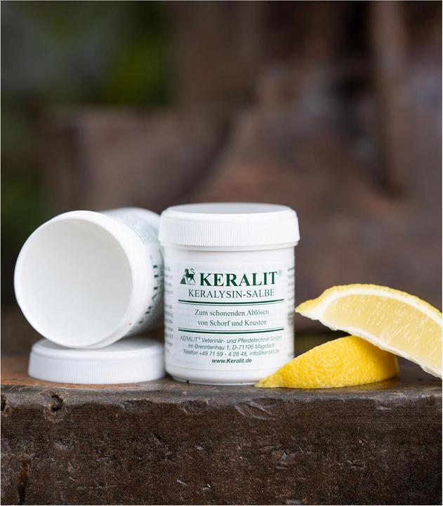 Produktbild Keralit KERALYSIN-SALBE Löst schonend Schorf und Krusten 130 ml Dose