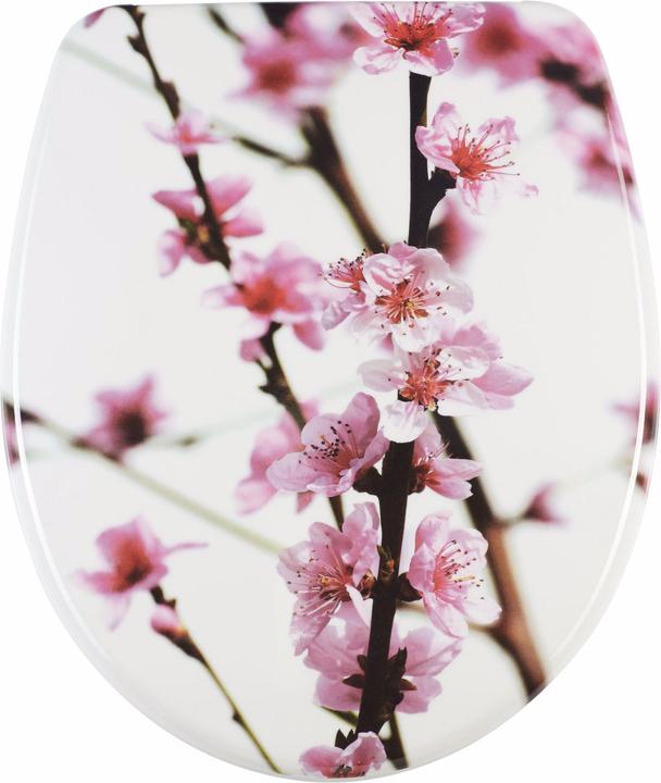 Diaqua Sakura