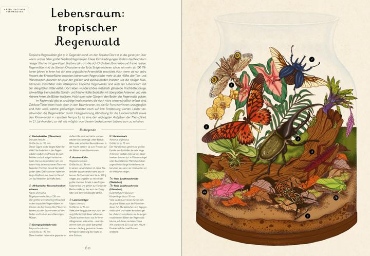 Immagine prodotto Das Museum der Insekten (Tedesco, Dave Goulson, Emily Carter, 2024)