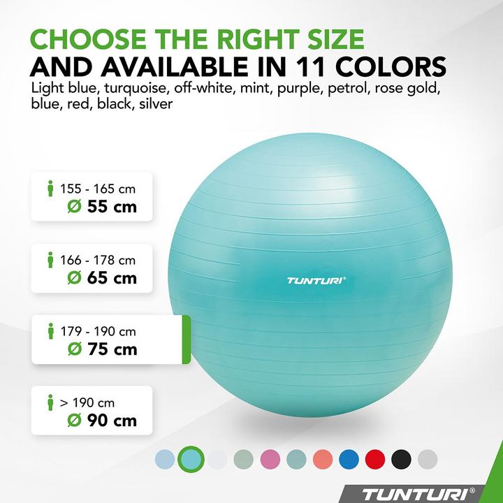 Immagine prodotto Tunturi Gym Ball - Fitnessball reissfest ABS 75 cm Türkis (75 cm)