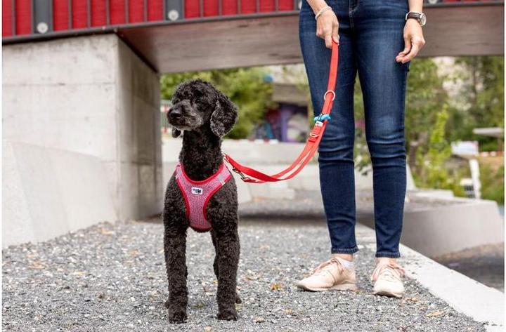 Immagine prodotto Curli Stoviglie Merino (XS, Cane, Generale)