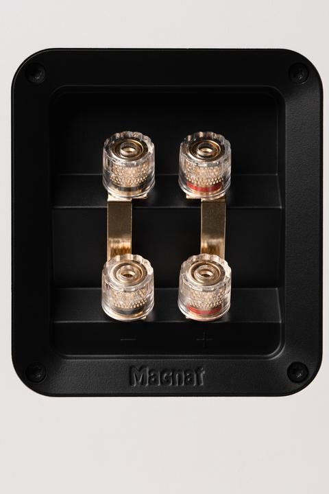 Actual product image Magnat Signature 809 (1 pair)