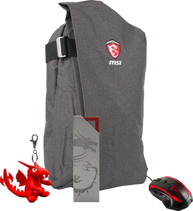 MSI Gaming Xmas Pack 2016 - 43,9 cm (17.3 Zoll) - Notebook-Gehäuse