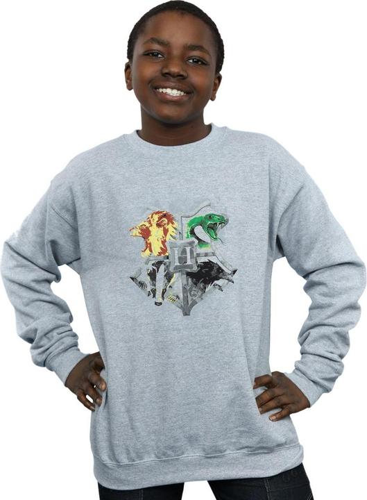 Actual product image Boys Hogwarts Painted Crest Sweatshirt (140, 146)