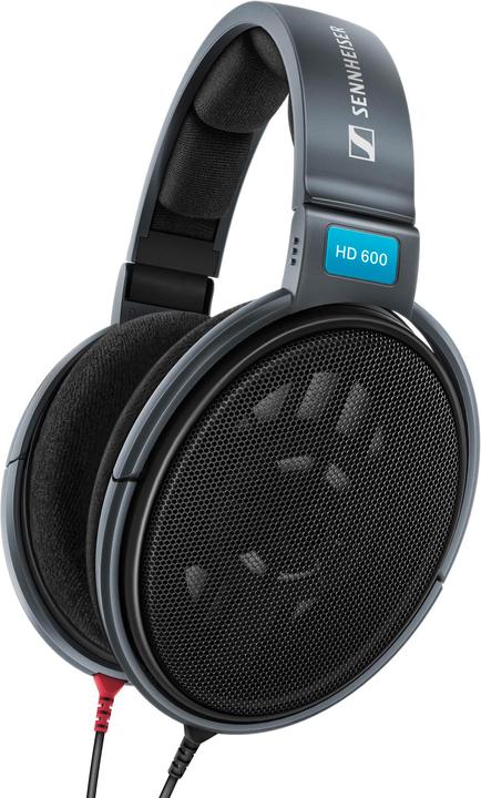 Sennheiser HD 600 (keine Geräuschunterdrückung, Kabelgebunden)