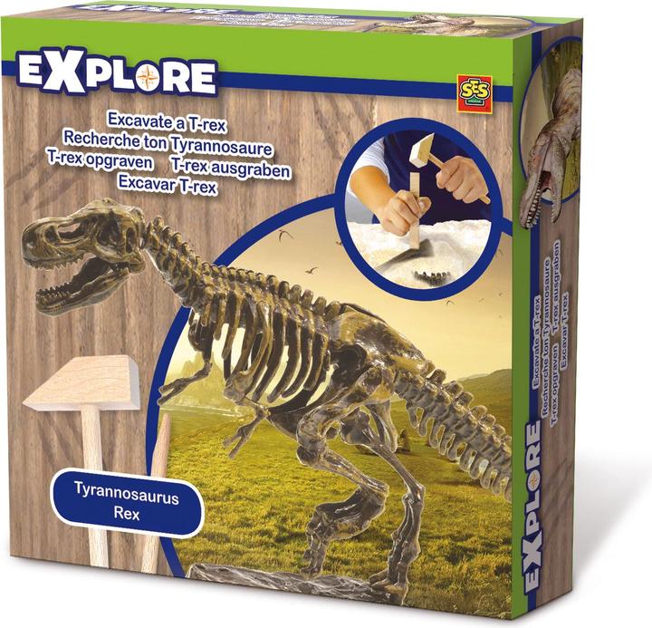 Ses T-Rex Aushub