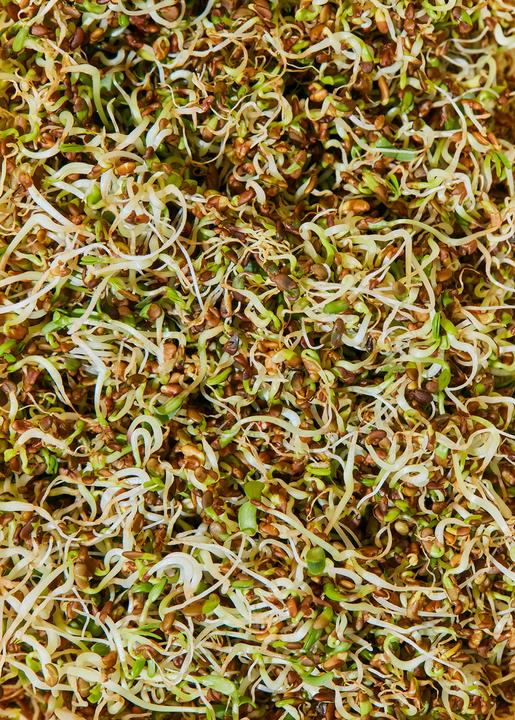 Immagine prodotto KoRo Semi di erba medica biologica (Medicago Sativa) (1000 g)