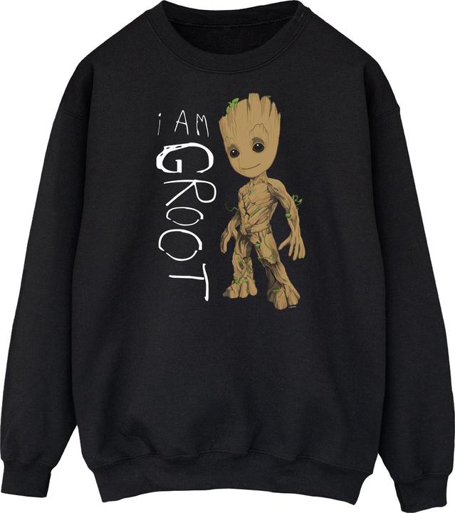 Immagine prodotto Guardians Of The Galaxy I Am Groot Scribbles Felpa Uomo (S)