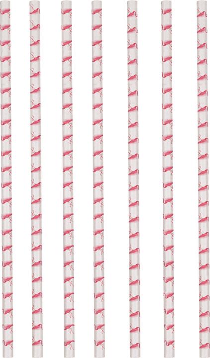 Produktbild Sombo Flamingo Paradise (12 x)