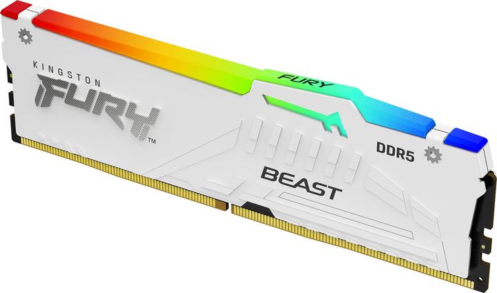 Kingston FURY Beast RGB (1 x 32GB, 5600 MHz, DDR5 RAM, DIMM)