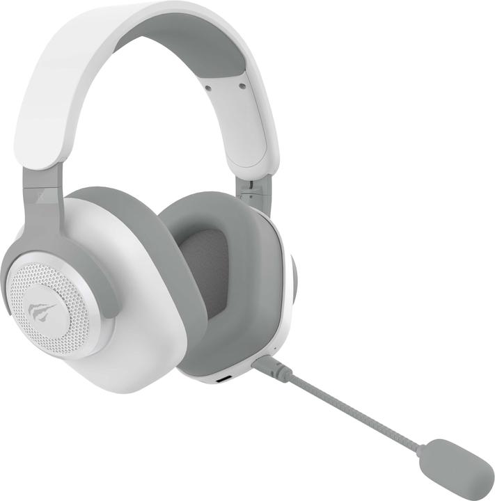 Havit H2230BG Kopfhörer & Headset Kabelgebunden Kopfband Gaming (Wireless, Cable)