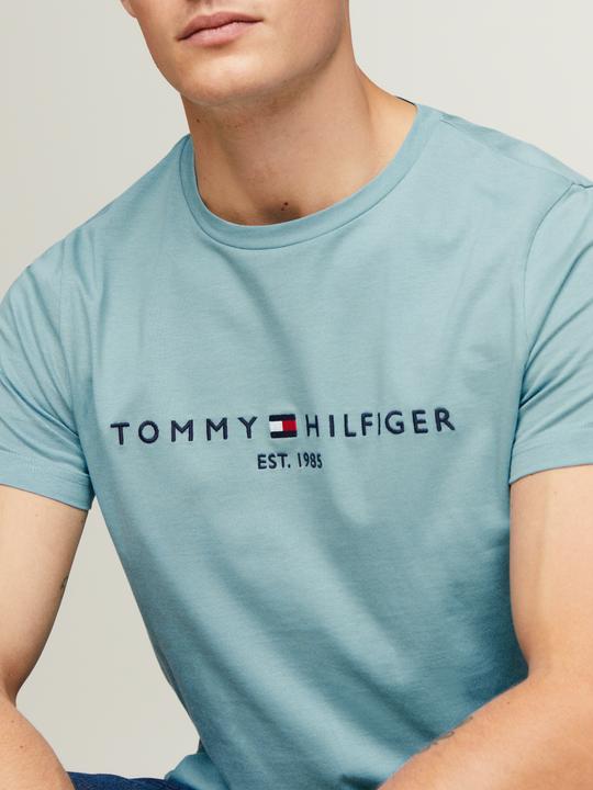 Immagine prodotto Tommy Hilfiger Tommy Logo Tee (M)