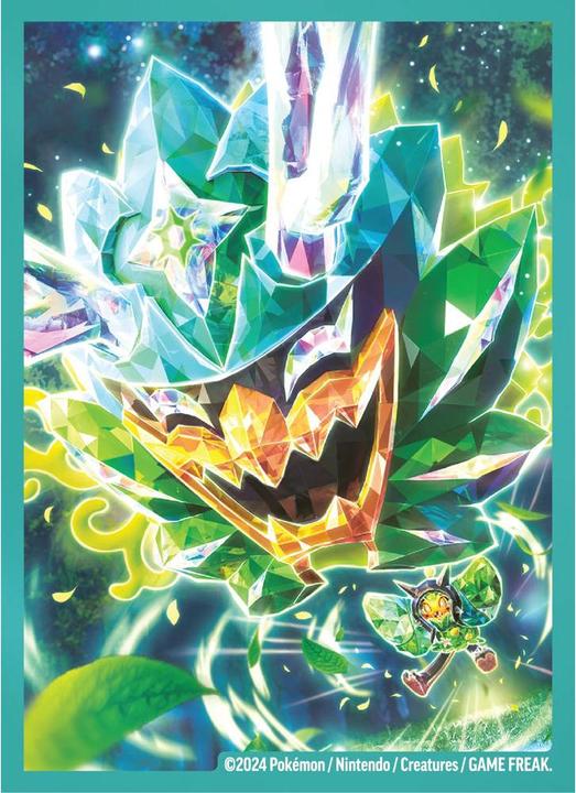 Actual product image Pokémon EX Premium Collection 2024 (German, Box Set & Collection)