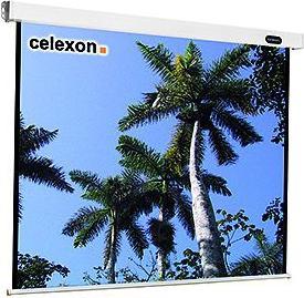 Actual product image Celexon Mobile Expert Folding Frame Screen - Canvas (91.34", 16:9)