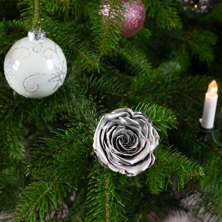 Immagine prodotto Flowerbox Pacchetto di 6 decorazioni fatte a mano per l'albero di Natale reale Rose (Fiori secchi)