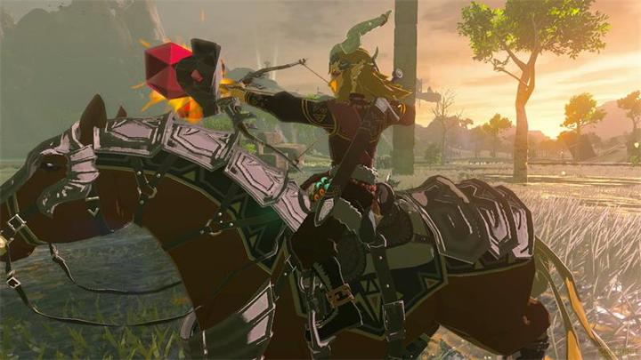 Image du produit Nintendo The Legend of Zelda: Tears of the Kingdom - Switch 2 Edition (Switch 2, DE, IT, FR)