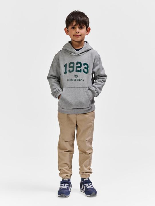 Produktbild hummel hmlNIPPS HOODIE (122)