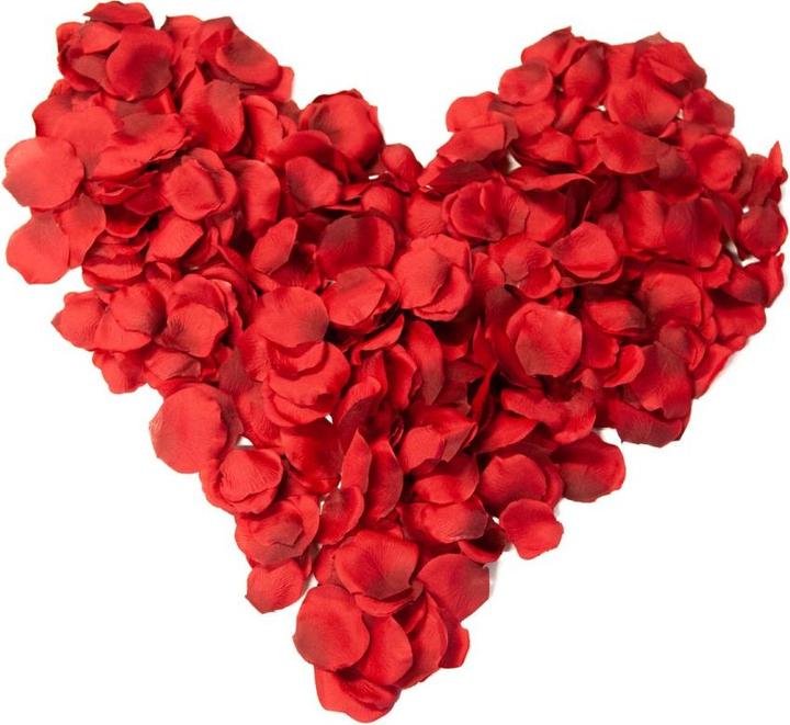 Actual product image Europalms Rose petals (8 cm)