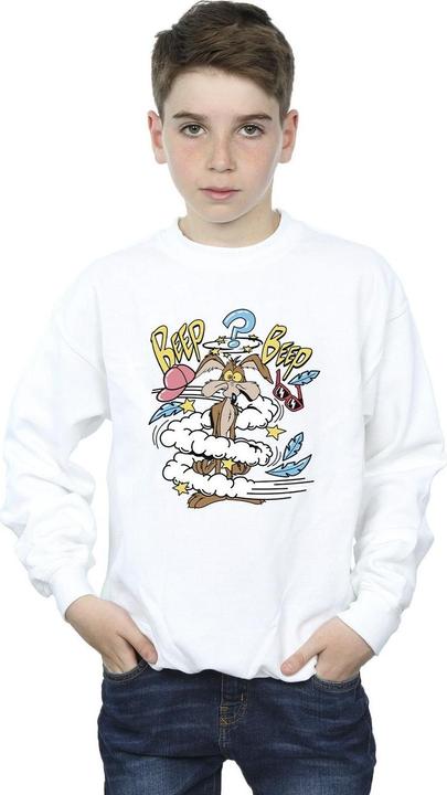 Actual product image Looney Tunes Boys Coyote Daze Sweatshirt (140, 146)