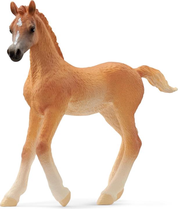 Image du produit Schleich Poulain arabe