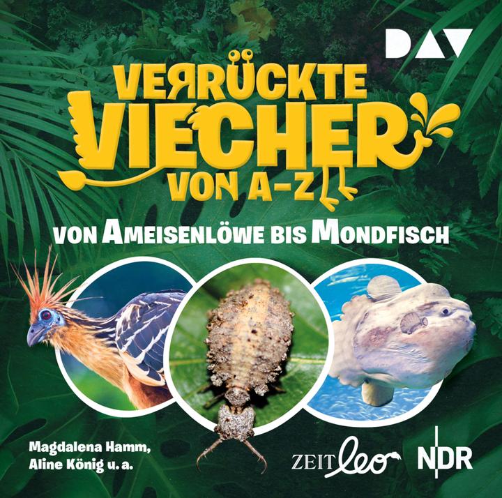 Actual product image Crazy critters from A to Z - Part 1: From ant lion to moonfish (Magdalena Hamm, Aline King, German)
