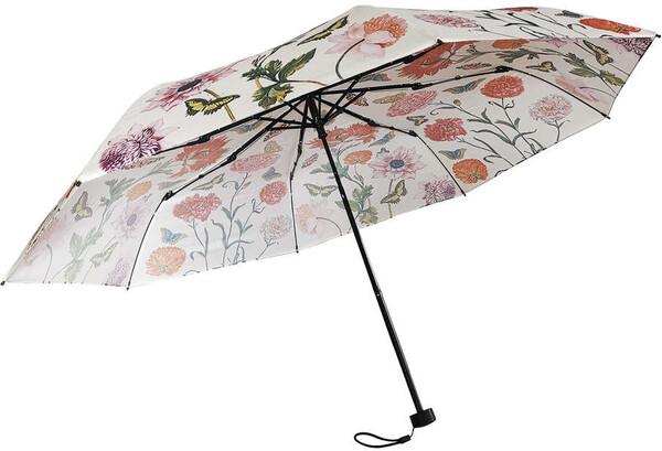 Fridolin Umbrella - "Maria Sibylla Merian"