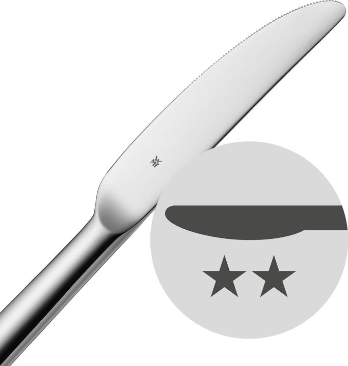 Actual product image WMF Steak Knife Gift Idea (6 Piece, Knife)