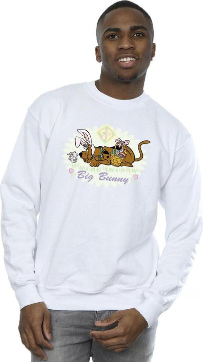 Actual product image Scooby Doo Mens Big Bunny Sweatshirt (M)