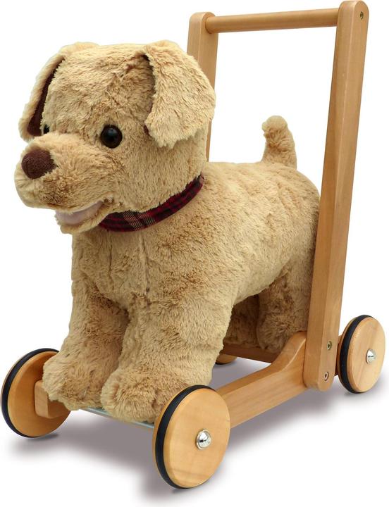 Dexter Dog Push Along
