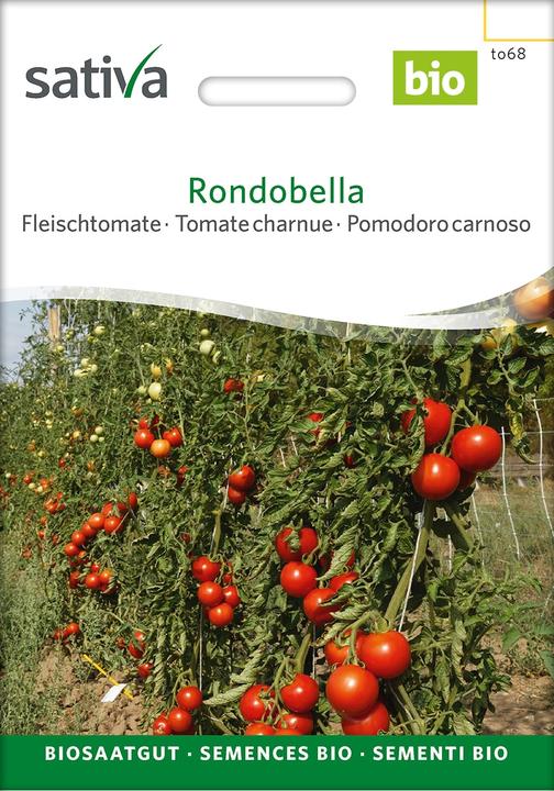 Actual product image Sativa Rondobella – Fleischtomate Bio (Vegetable seeds)