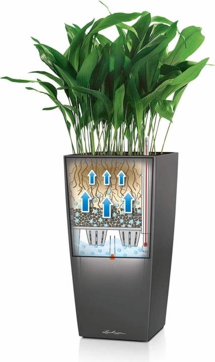 Immagine prodotto Lechuza Vaso per piante Cubico Premium 22 marrone, volume: 6 litri (22 cm)