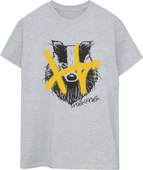 Actual product image Womens/Ladies Hufflepuff Pop Spray Cotton Boyfriend T-Shirt (L)