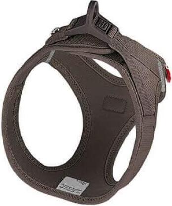 Actual product image Curli Vest dog harness Clasp Air-Mesh (XL, Dog, Dog sport)