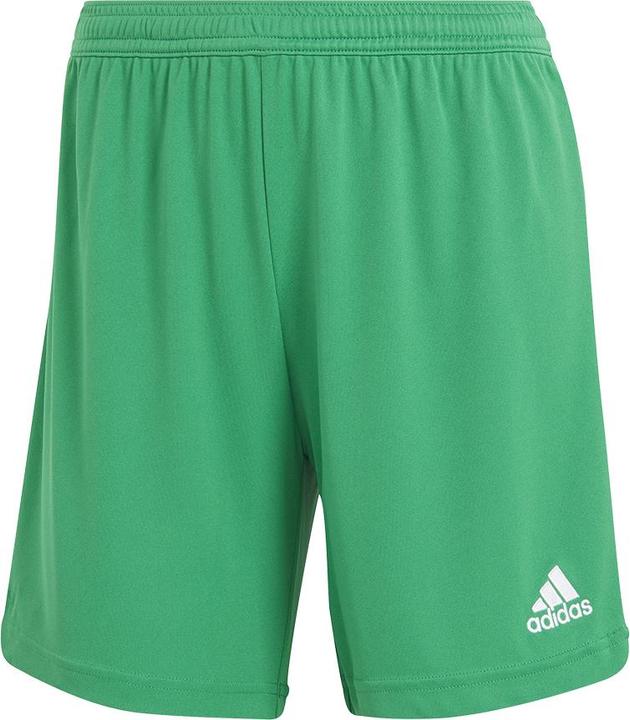 Actual product image adidas Entrada 22 women's training shorts (S)