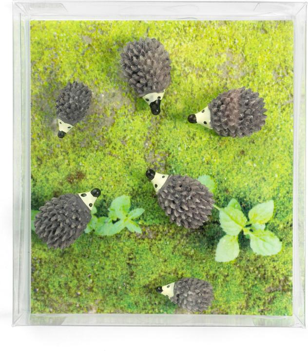 Actual product image Trendform Hedgehog (6 x)