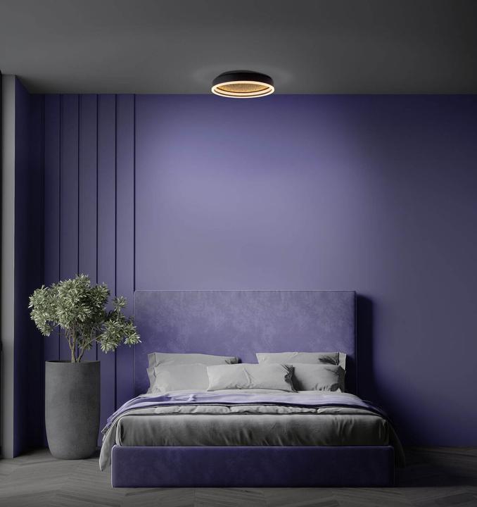 Image du produit Näve Plafonnier LED ARANY 1392322