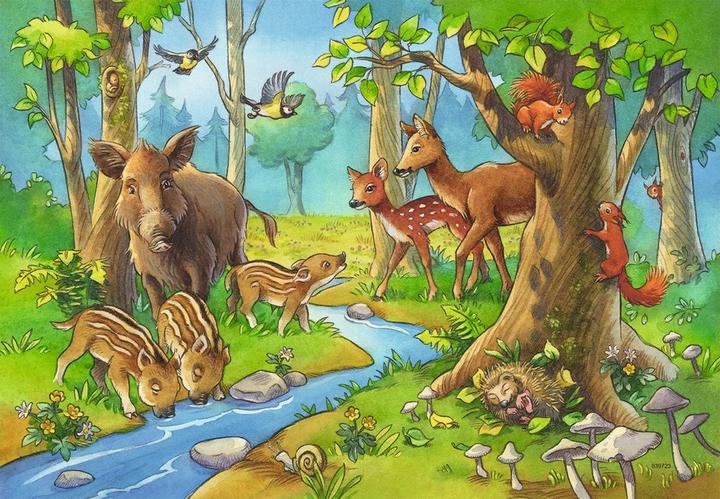 Produktbild Ravensburger Tiere des Waldes (24 Teile)