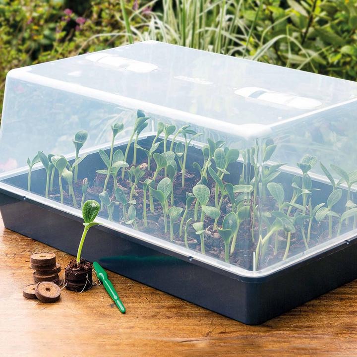 Actual product image Romberg Greenhouse XXL 59 x 39 x 27 cm