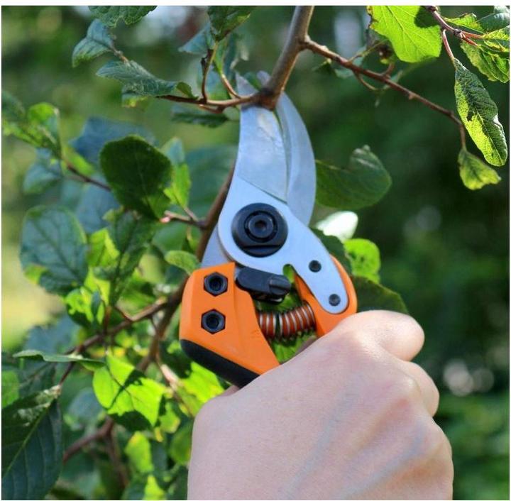 Actual product image Fiskars Garden shears bypass PB-8 M 102