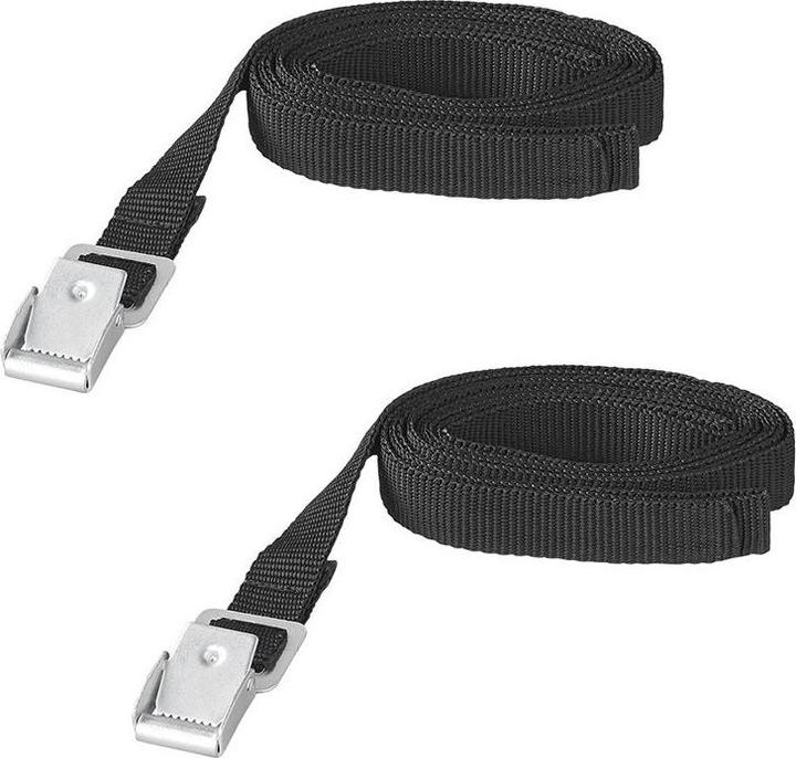 Produktbild ProPlus Spannriemen mit Metallschnalle 18mm-200cm Set von 2 Stück